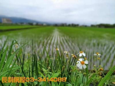 宜蘭田園農地-三星安農溪畔農田可農舍視意圖